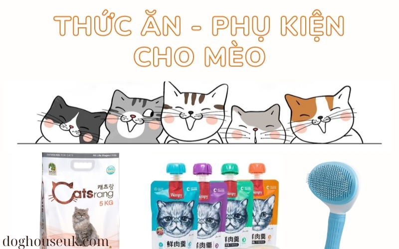 Phụ Kiện Chăm Sóc Lông Mèo Điều Gì Cần Thiết (4)