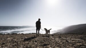 Nutrition and Diet for Dogs