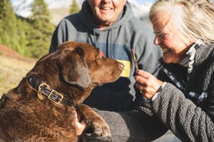 The Secret Life of Dogs